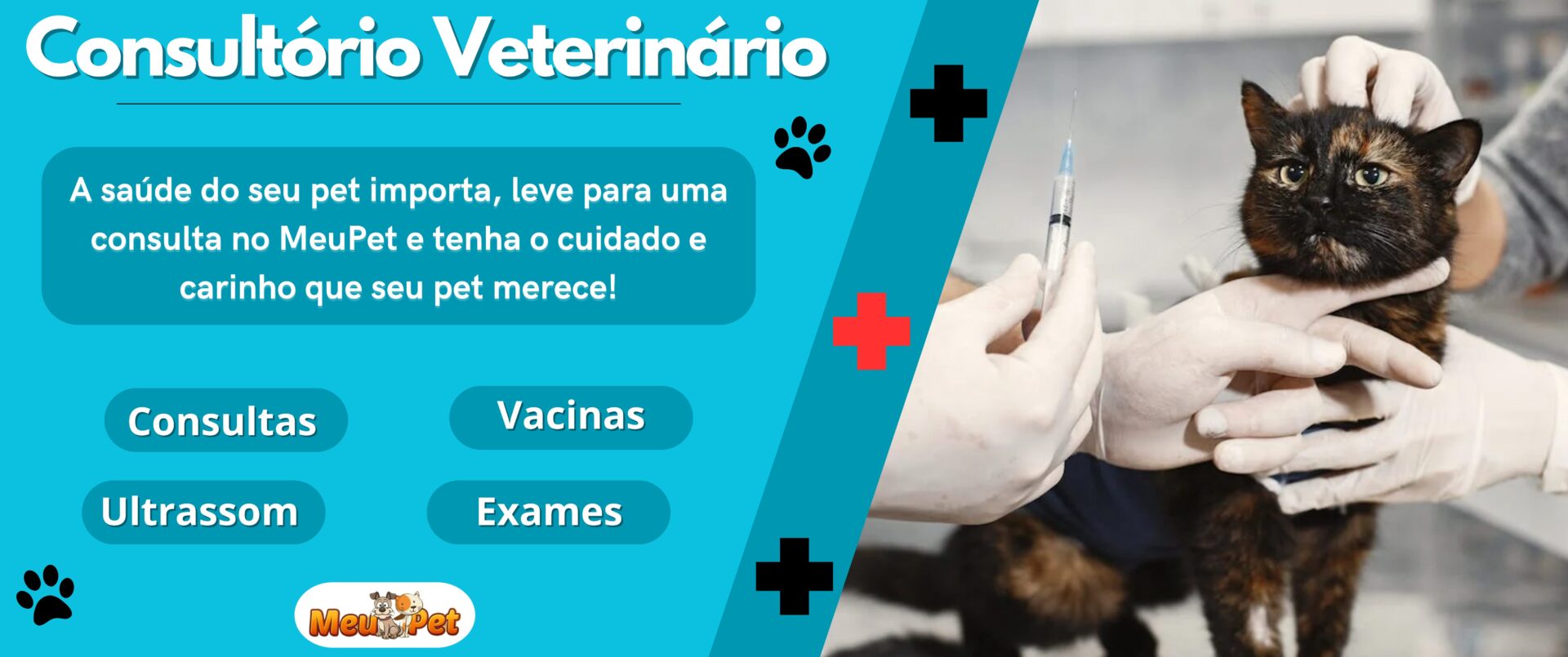 Veterinario